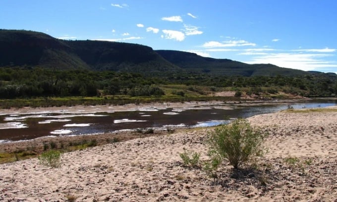 El río Finke está casi seco la mayor parte del año. Foto: Wikimedia