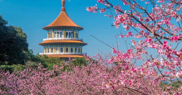 Discover the beauty of Taiwan in spring