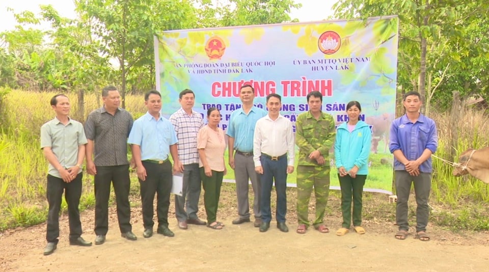 Văn phòng Đoàn ĐBQH tỉnh phối hợp với MTTQ VN huyện Lắk đã hỗ trợ giống bò sinh sản cho một số hộ khó khăn tại xã Krông Nô.