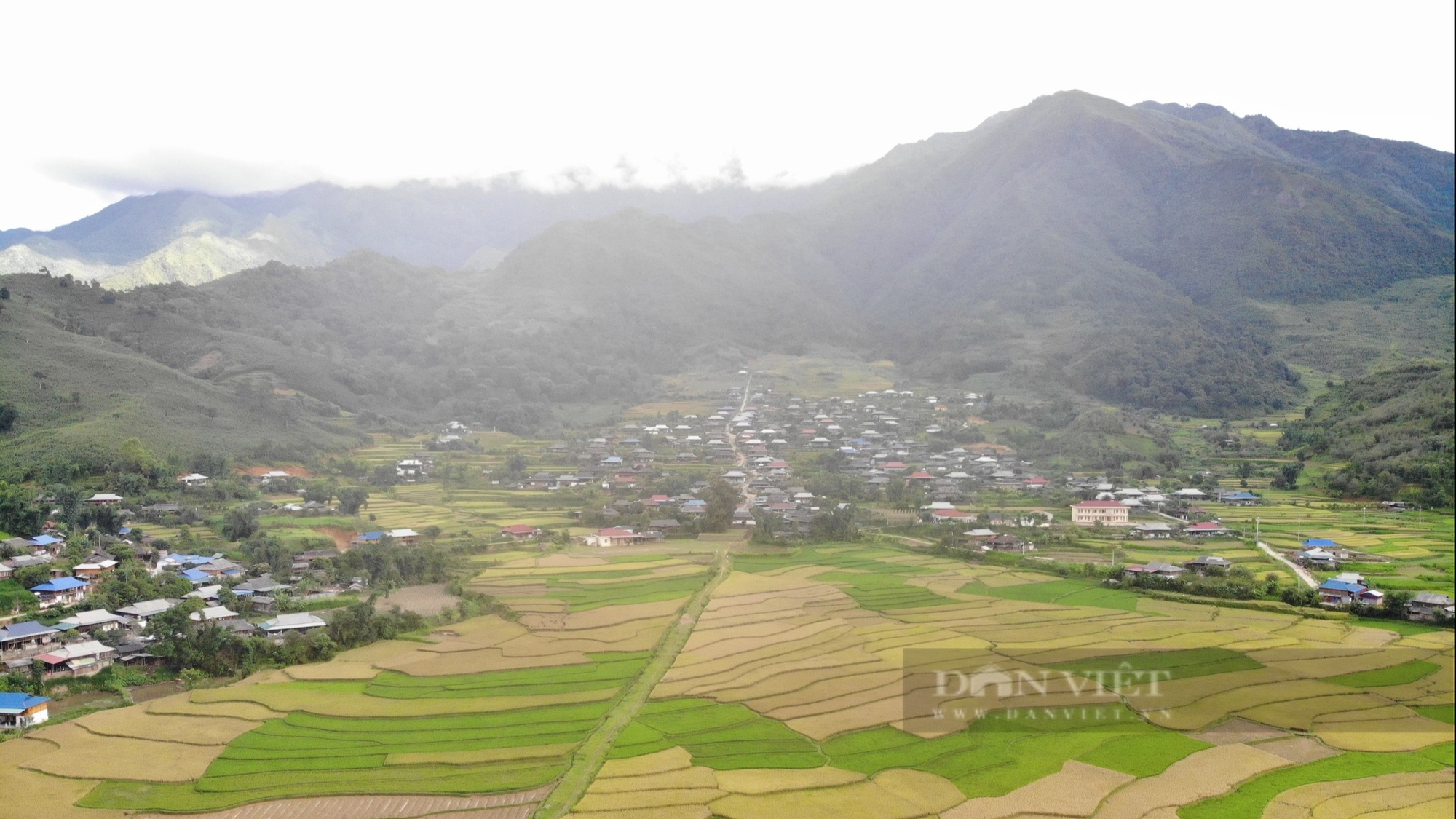 Nông dân tíu tít thu hoạch, gánh lúa, hứa hẹn một mùa vàng bội thu trên rẻo cao Sơn La- Ảnh 1.