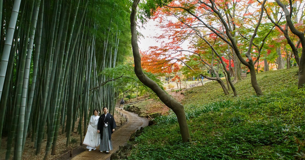 Spaziergang durch einen friedlichen Bambuswald in Japan