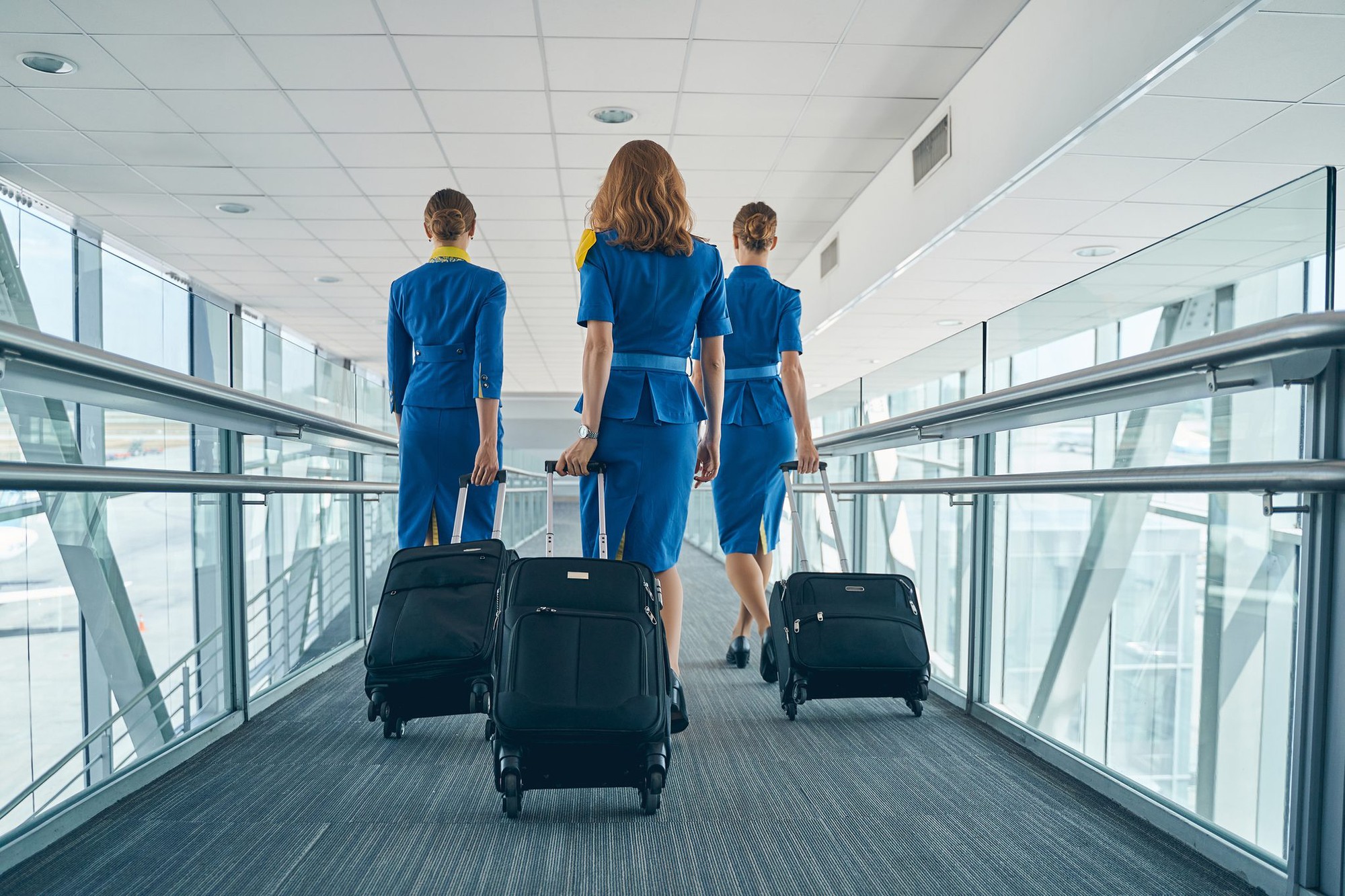 Ngôn ngữ bí mật của tiếp viên hàng không trên chuyến bay - Ảnh 1.