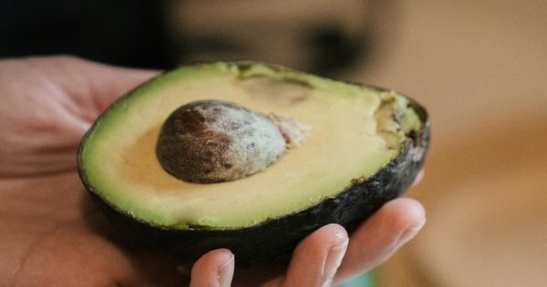 El aguacate es un “superalimento”, pero ¿qué enfermedades debes evitar comer?