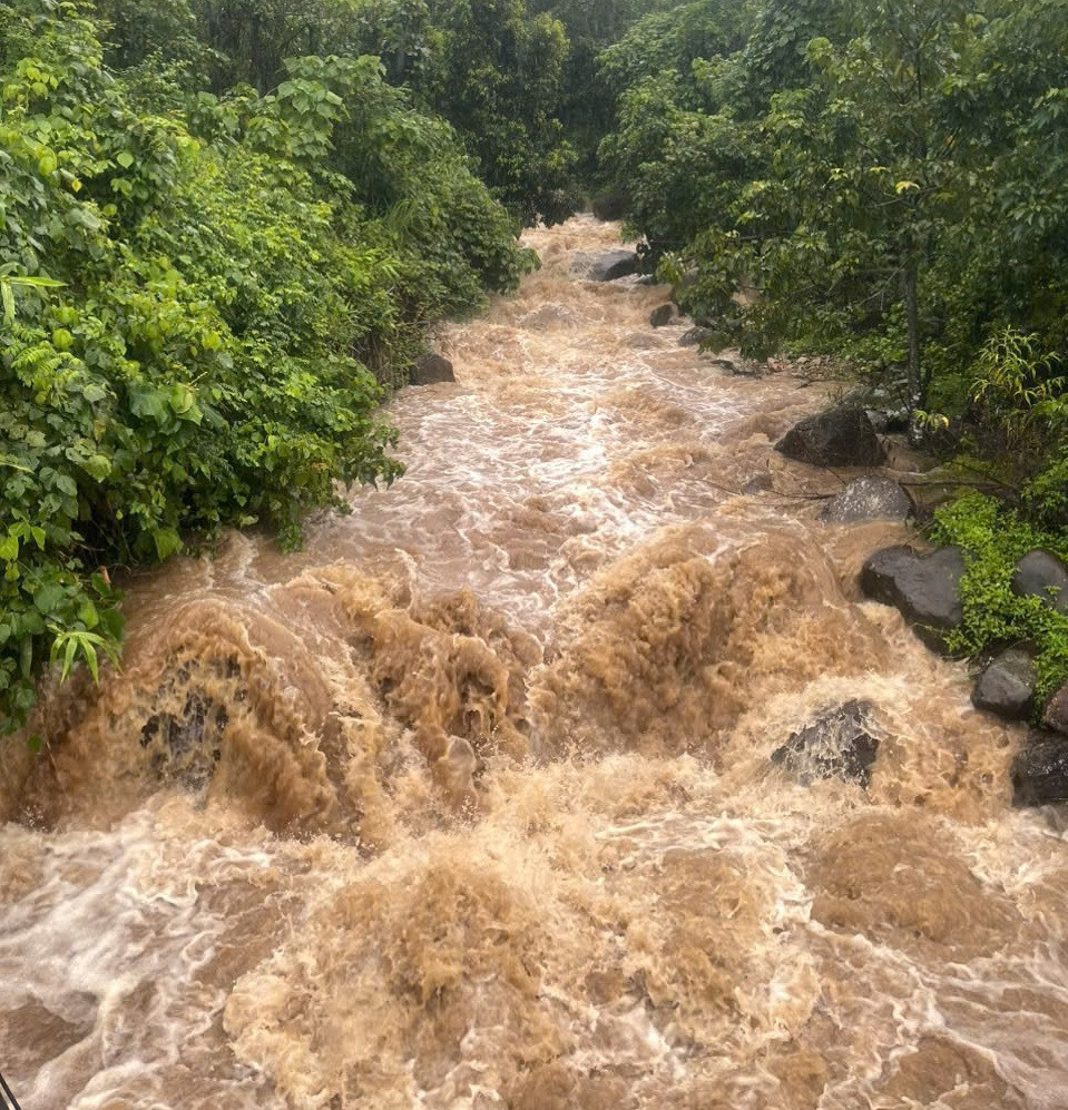 flood 3 (14).jpg