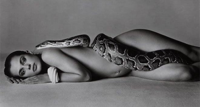 The surprise behind the photo of the 20-year-old beauty posing nude with a python