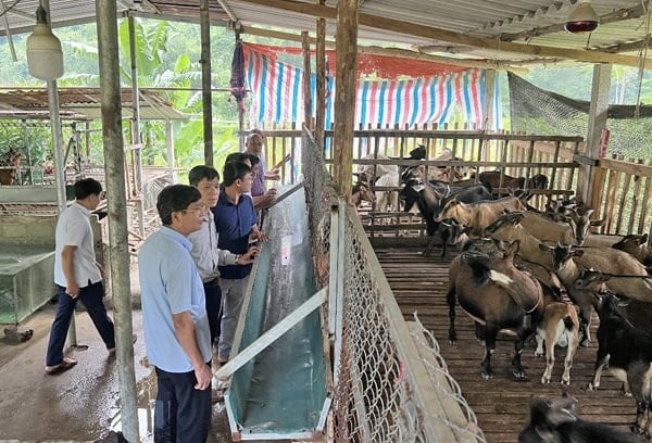 Lam Binh - Tuyen Quang: Die Wertsteigerung von OCOP-Produkten hilft Menschen, der Armut zu entkommen