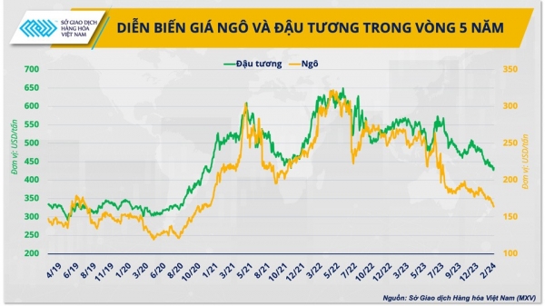 Ngành chăn nuôi chuyển mình, ‘nút thắt’ chi phí đang dần được tháo bỏ