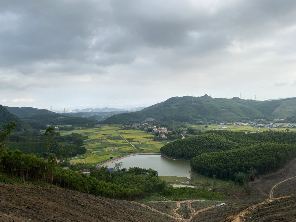 From the top of Vua Ngu hill you can see a large area of ​​Ha Long.