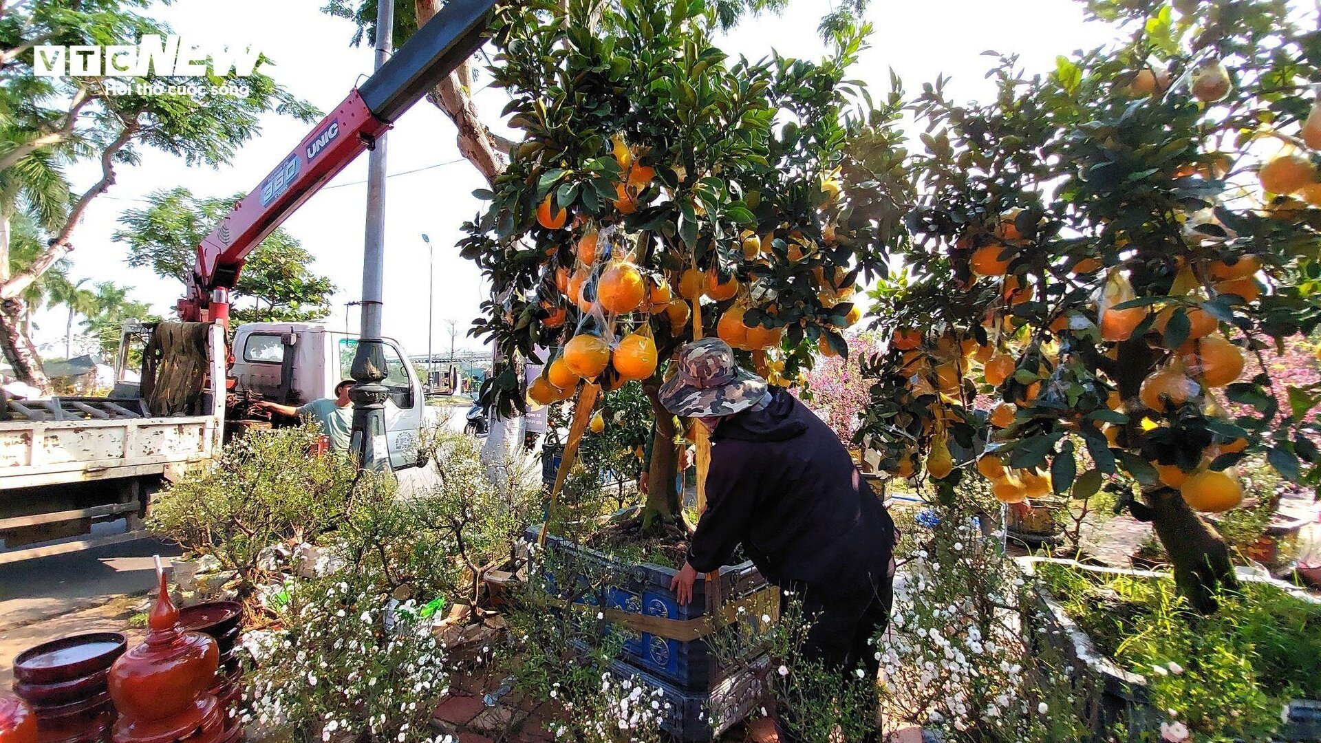 Transportando flores del Tet para ganar millones cada día, los conductores trabajan día y noche - 6