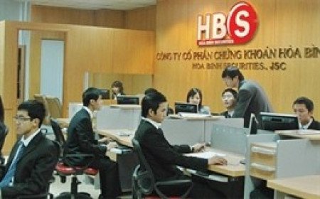 Chairman of Hoa Binh Securities resigns