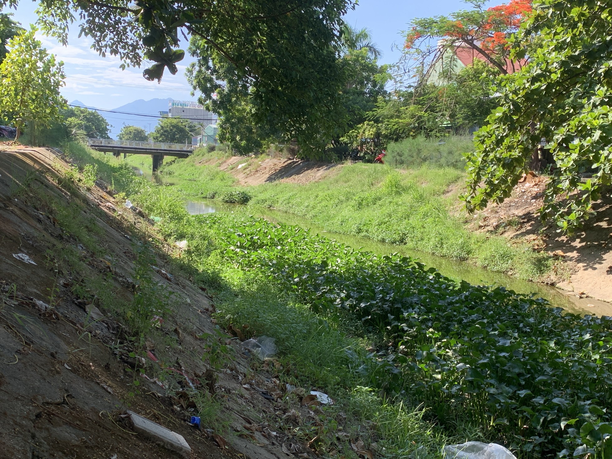 Polluting open canal in Da Nang invested more than 105 billion VND to build park photo 6