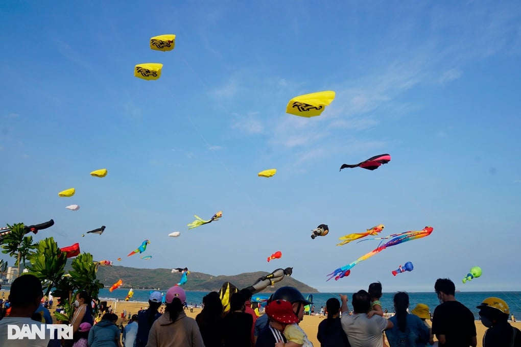 Ngắm diều khủng tung bay trên bầu trời Quy Nhơn - 1