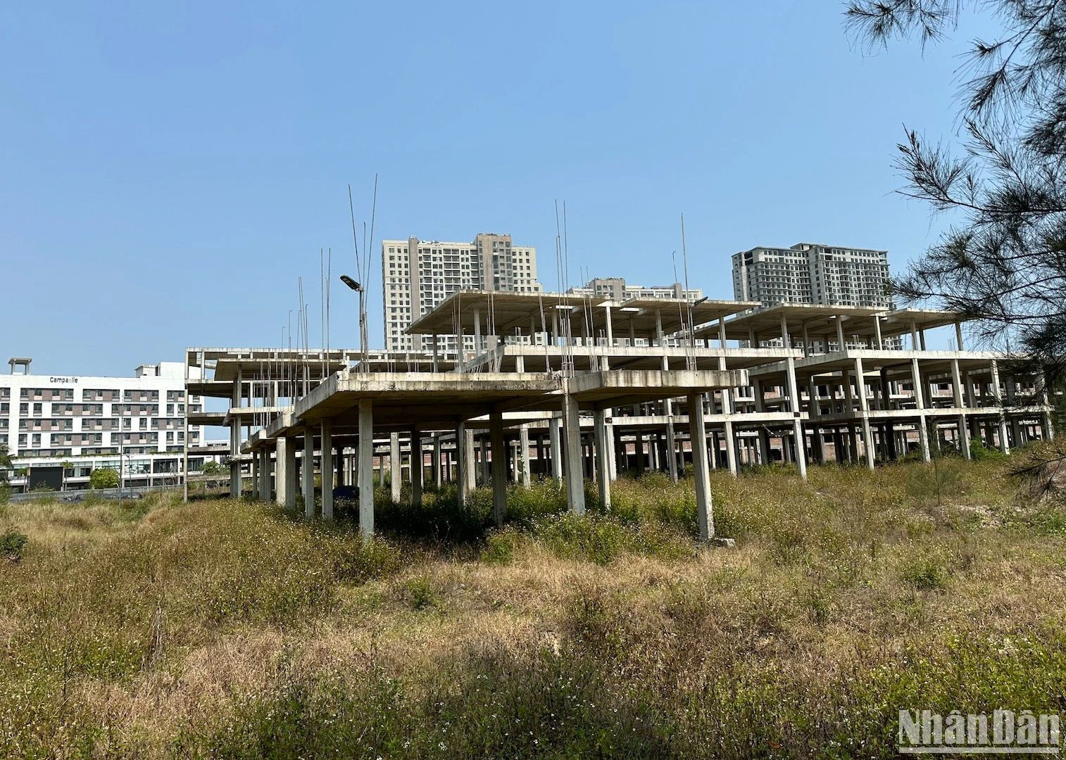 [Photo] L'état de désolation du « super » projet de complexe touristique et de divertissement de Cocobay photo 8