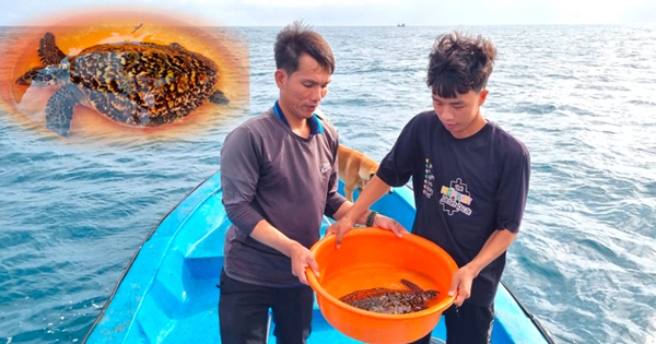 Mientras recogían basura, los habitantes de Quang Ngai atraparon accidentalmente un animal incluido en el Libro Rojo y lo entregaron a las autoridades.