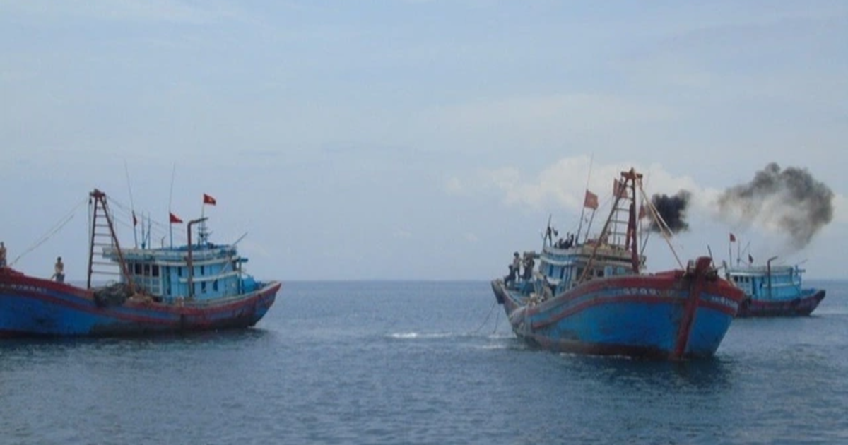 Secretariat: Strictly handle cases of collusion with fishing boats for illegal exploitation