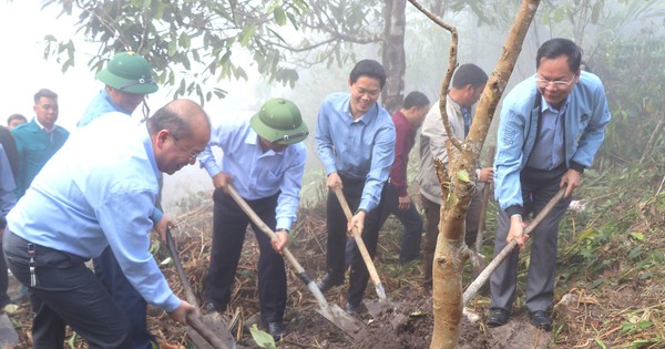 Hội Nông dân Lai Châu tổ chức trồng cây xanh, cải tạo cảnh quan môi trường ở bản Can Tỷ 2 xa xôi