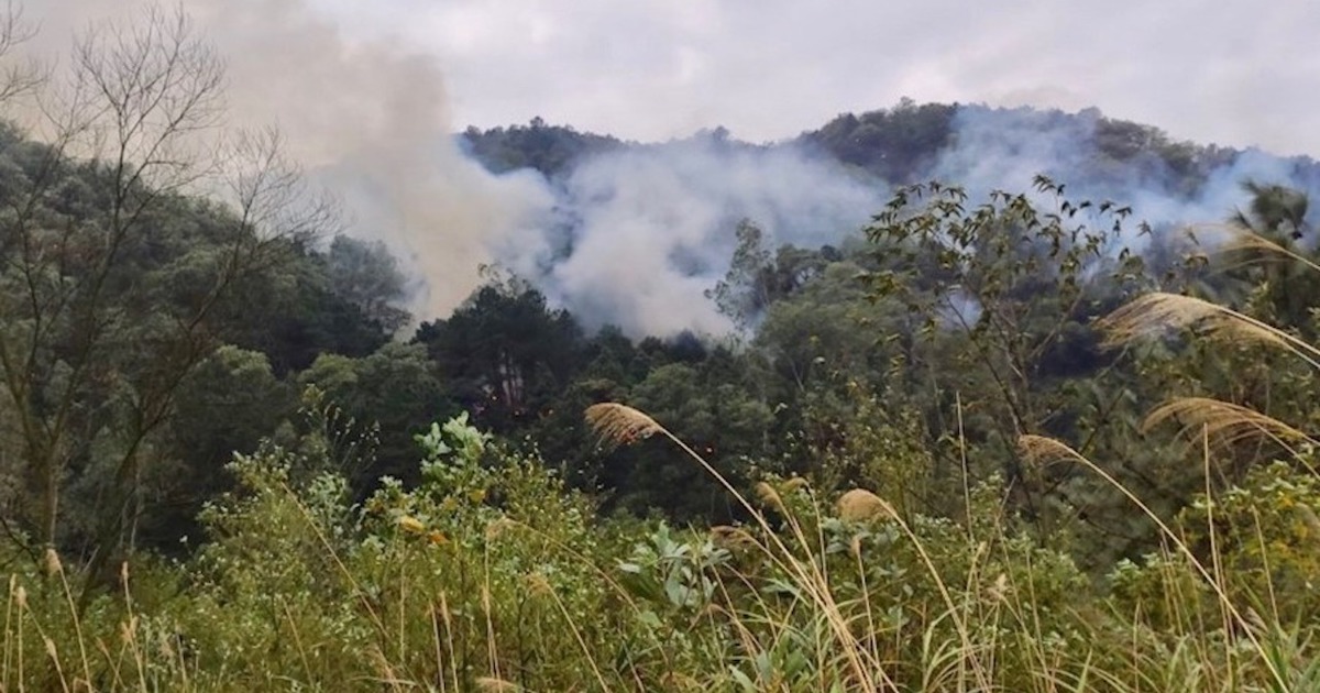 Hanoi weist die Polizei an, Waldbrand im Bezirk Soc Son zu untersuchen