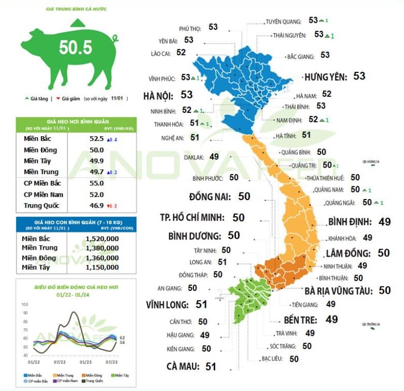 Giá lợn hơi cả