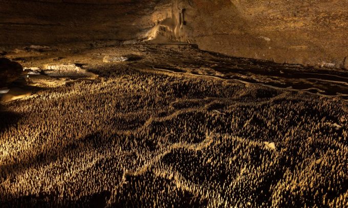 Die 100.000 Soldaten umfassende Struktur in der Trabuc-Höhle ist ein ungelöstes geologisches Rätsel. Foto: David PAGIS/ Wikimedia Commons