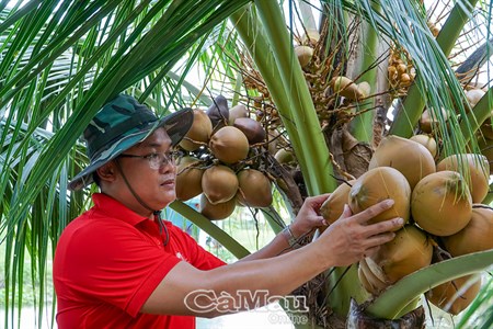 សមាជិកបក្សទៅមុន...