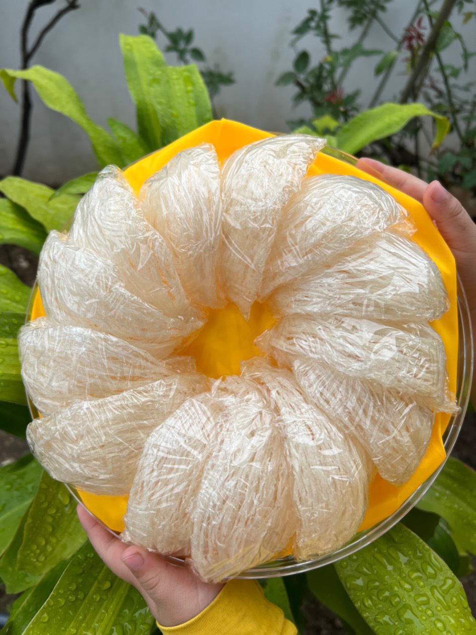 Người phụ nữ “lội ngược dòng” để thành công với thương hiệu Yến Helen Khánh Hòa- Ảnh 11.