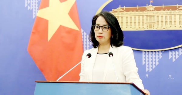 Spokesperson talks about Vietnam's re-election to the Human Rights Council