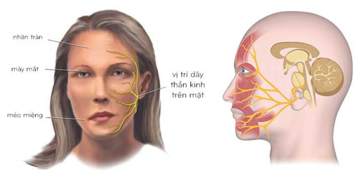 The weather in the North is getting cold, beware of facial nerve palsy