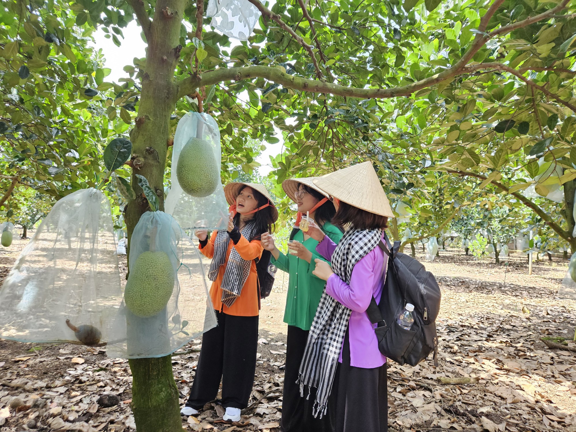 Đưa du lịch nông nghiệp thành thương hiệu của Việt Nam - Ảnh 3.