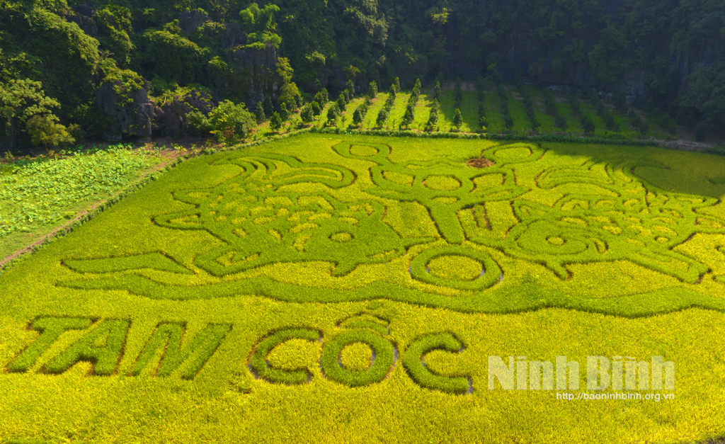 Hoa Lu inspects preparations for Ninh Binh Tourism Week