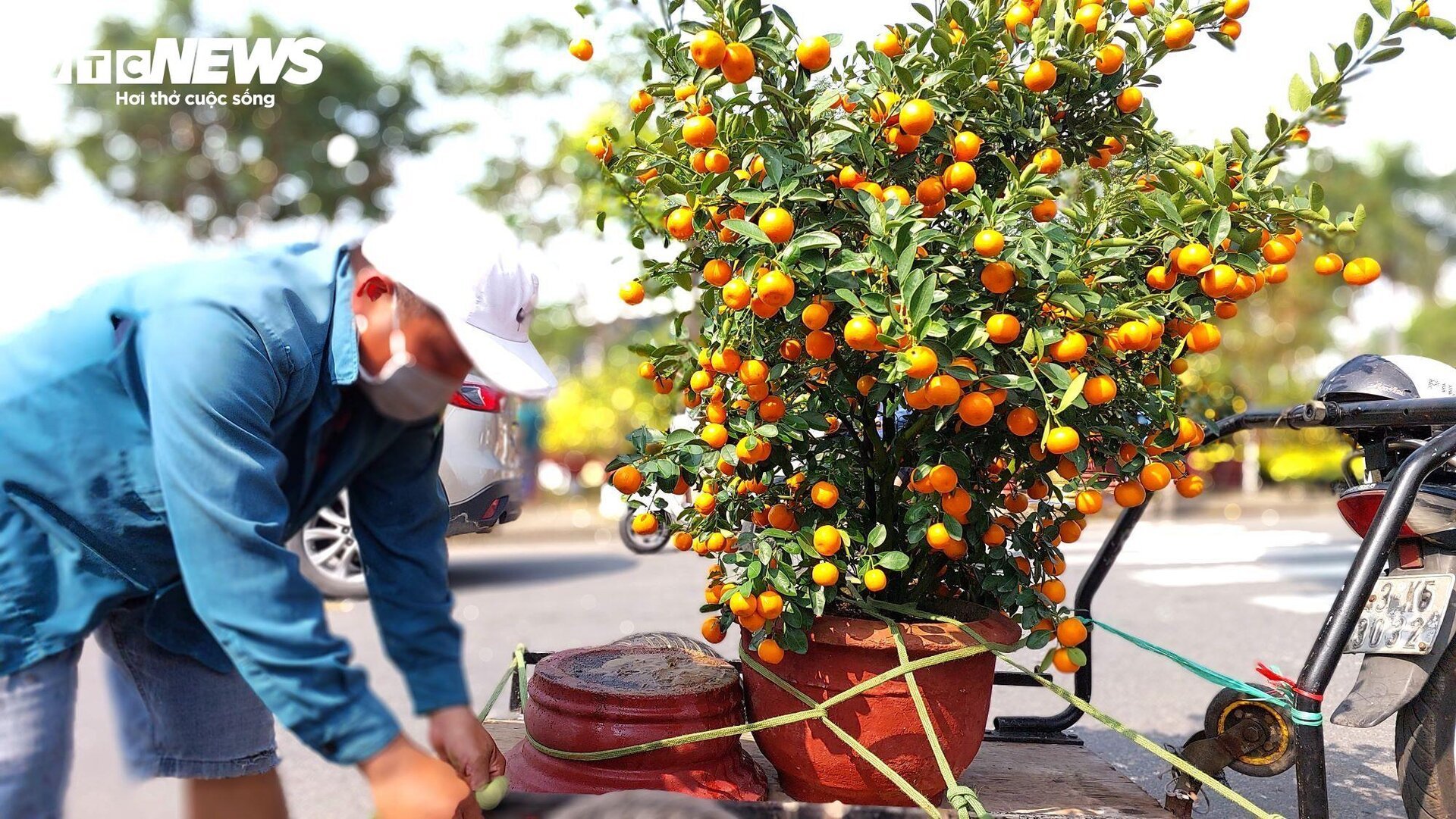 Transportando flores del Tet para ganar millones cada día, los conductores trabajan día y noche - 3