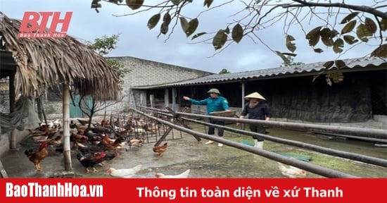 Chế biến thức ăn chăn nuôi từ phụ phẩm trồng trọt