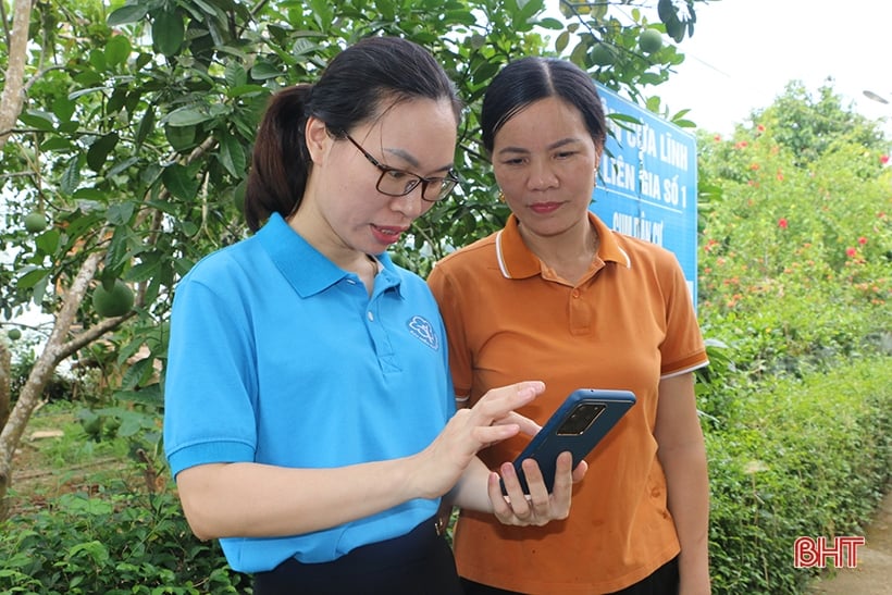 شركة التأمين الاجتماعي Vu Quang تقود شركة Ha Tinh في تركيب VssID