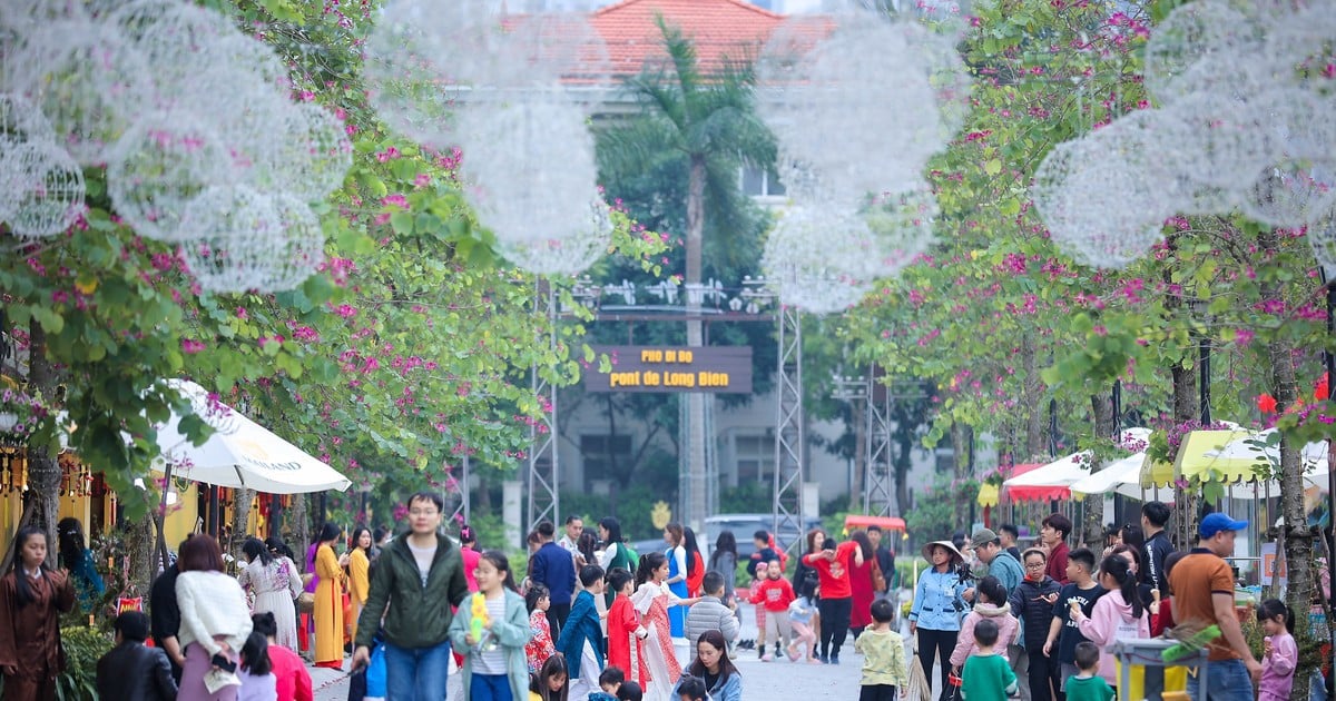 Phố đi bộ Pont de Long Bien hút khách du xuân