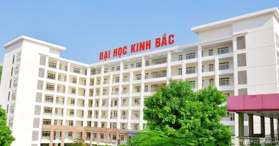 Thu hồi bằng cử nhân của một cán bộ trường đại học