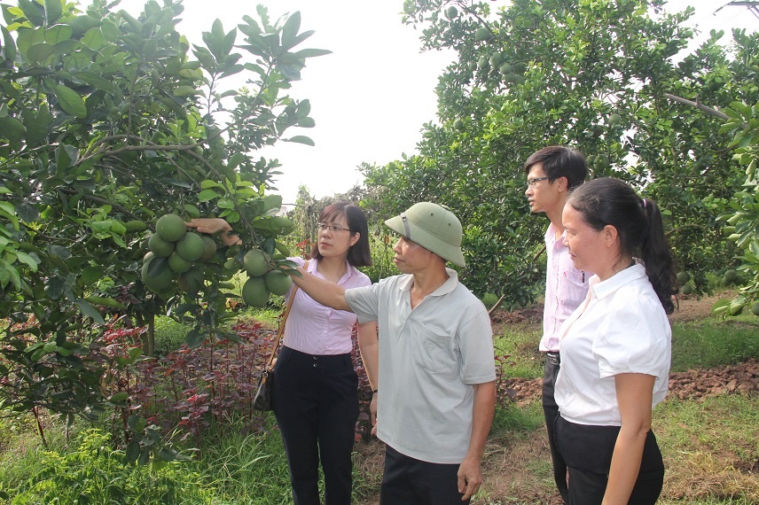 Nguồn vốn ủy thác sang NHCSXH đã vượt kế hoạch cả năm