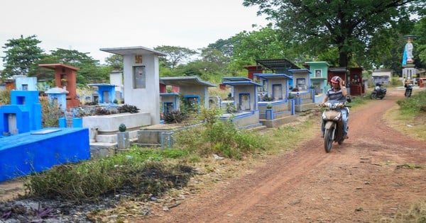 La construcción de una escuela y un parque en el cementerio de Binh Hung Hoa comenzará antes de abril de 2025.