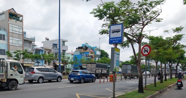 Talan 188 árboles para ampliar los carriles para motos en la Avenida Este-Oeste de Ciudad Ho Chi Minh