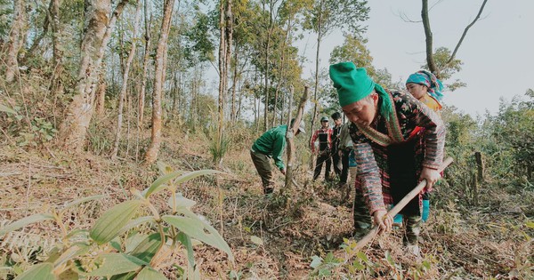 Lai Châu tổ chức gắn biển đường hoa lê ở xã có địa điểm ngắm bình minh đẹp nhất Đông Nam Á