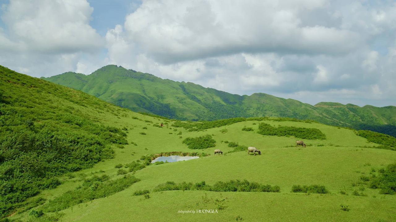 'Đà Lạt thu nhỏ' cách Hà Nội 100km, khách tới săn mây, cắm trại giữa rừng