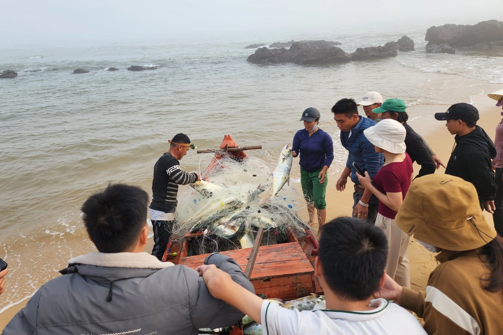 Ngư dân trúng mẻ cá 100 con màu vàng, ánh bạc trong một lần kéo lưới - 2