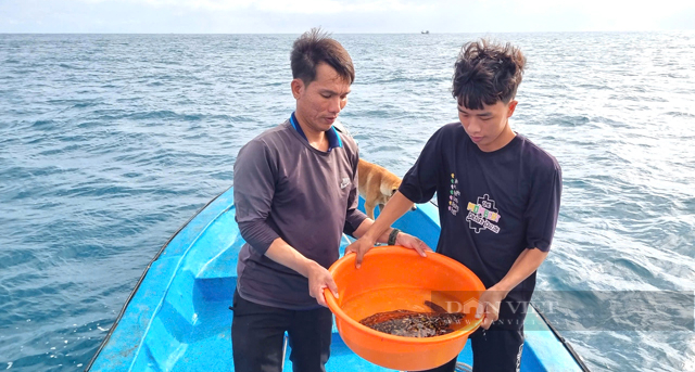 Đi vớt rác ngoài lồng nuôi, ngư dân Quảng Ngãi phát hiện động vật có tên trong sách đỏ - Ảnh 5.