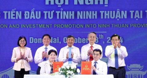 Immer mehr Unternehmen schlagen Projekte für erneuerbare Energien in der Provinz Ninh Thuan vor