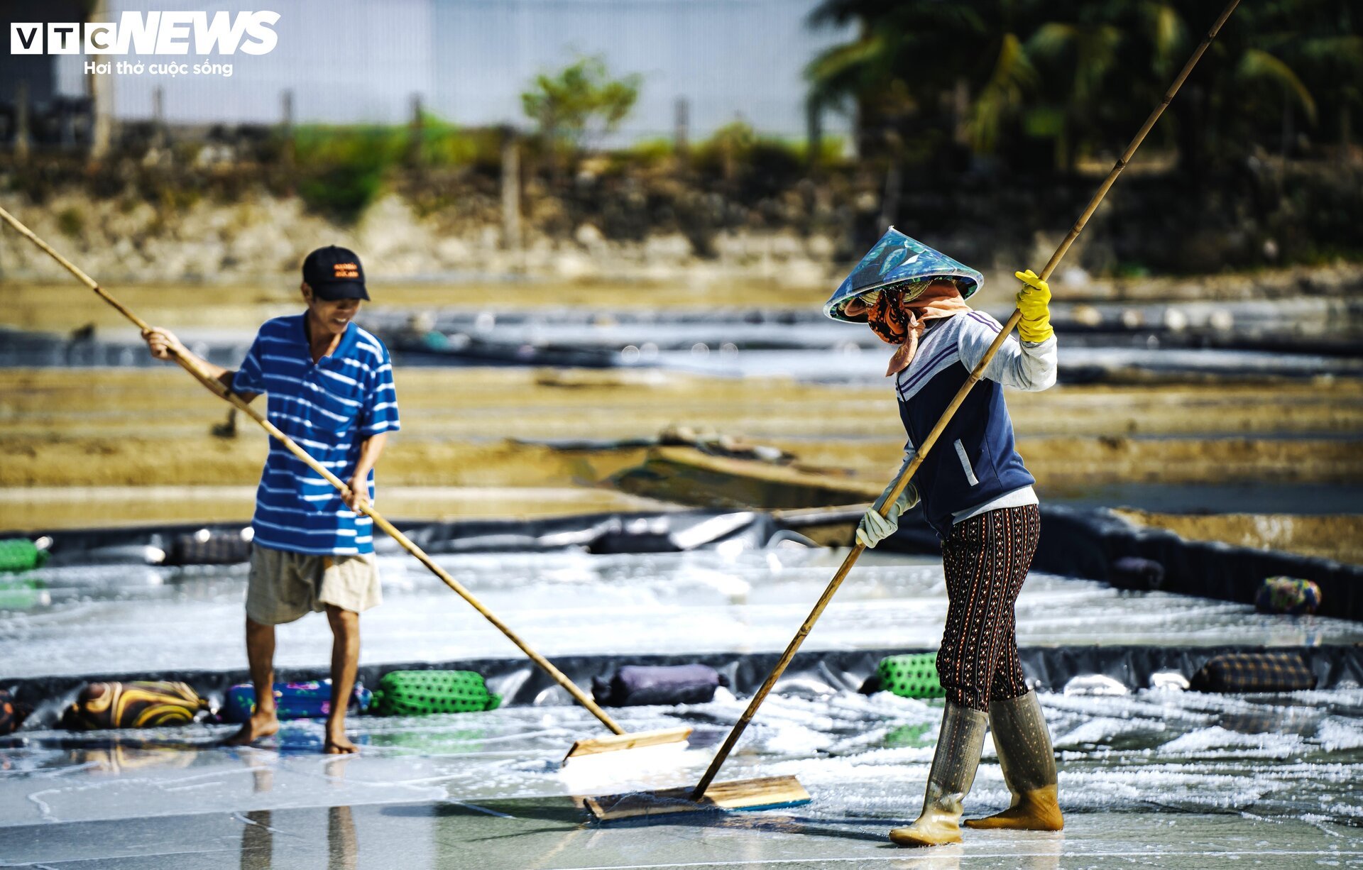 People 'carrying the sun' on the white salt fields in Binh Dinh - 5