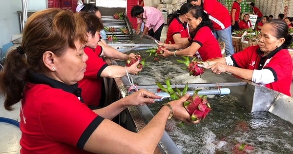 Muchos productos agrícolas vietnamitas tienen sus precios manipulados.