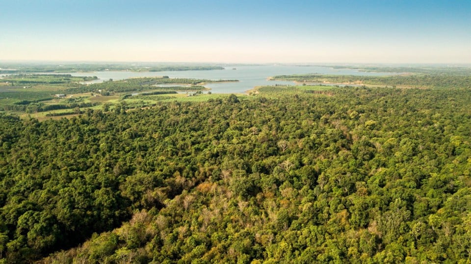 The vast forests of Dong Nai Nature and Culture Reserve and the gentle Dong Nai River are very suitable for developing sustainable ecotourism.