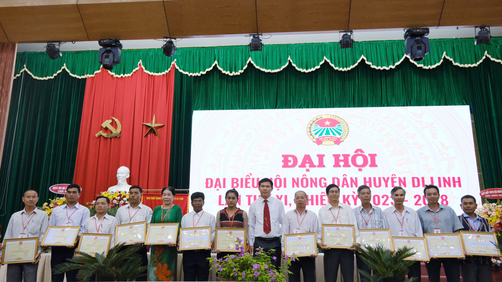 Di Linh District People's Committee awarded certificates of merit to collectives