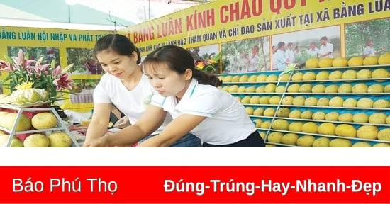 Tăng nội lực của hợp tác xã từ Chương trình “Mỗi xã một sản phẩm”