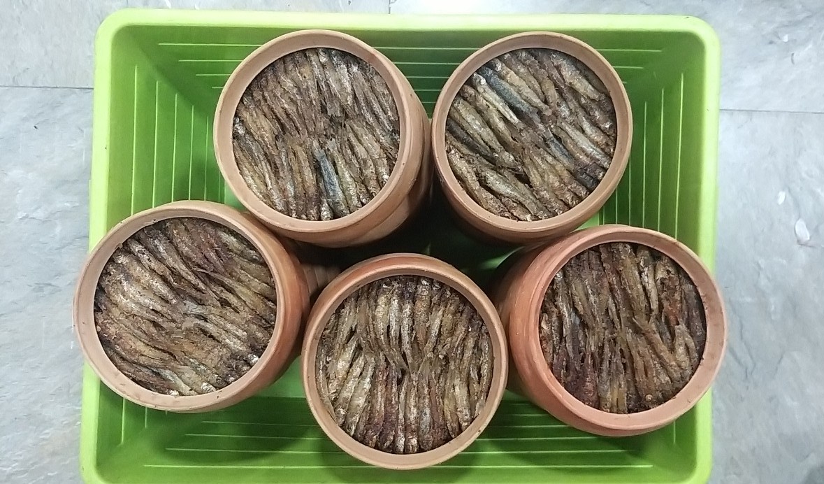 Hương vị quê hương: Cá còm kho nghệ - Ảnh 3.