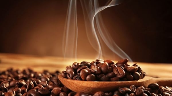 Coffee prices slightly adjusted across the board, new information on supply and demand, supply concerns remain