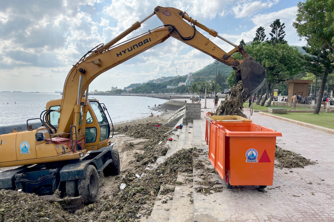 A truck scoops water hyacinth onto the shore to transport it away for disposal. Photo: Truong Ha